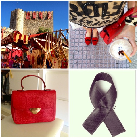 Snapshots of this Week