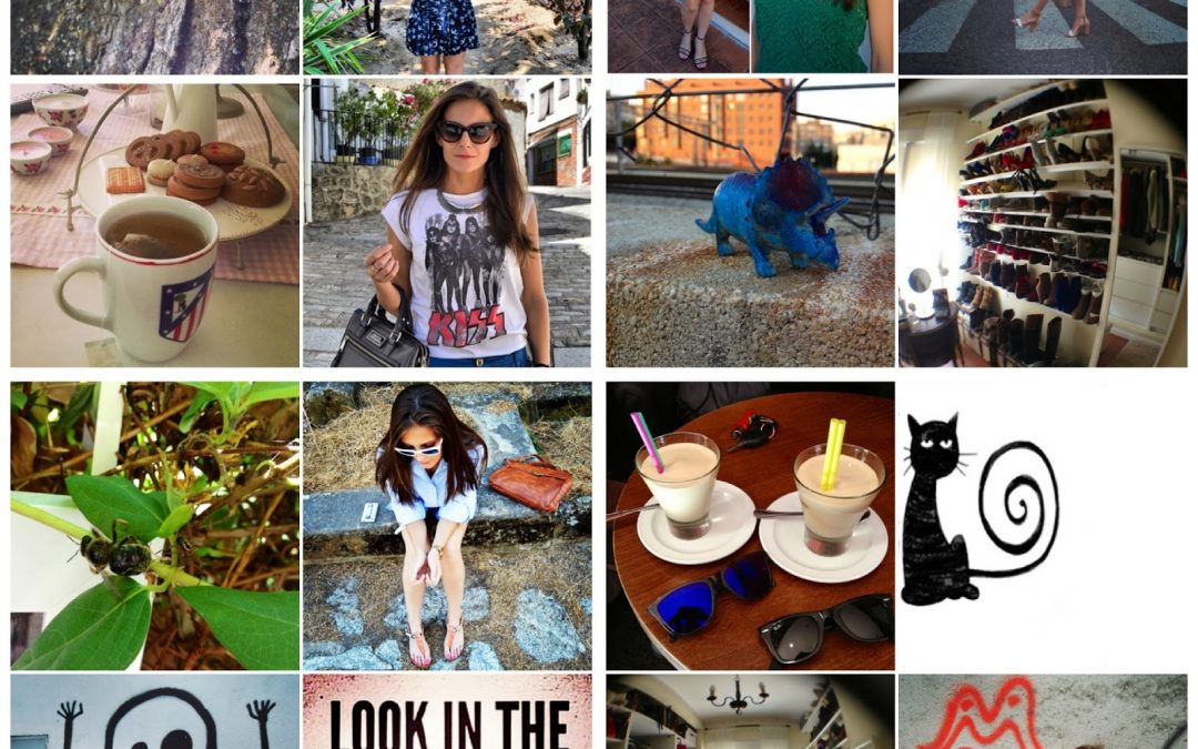 snapshots of the last weeks 33 & 34