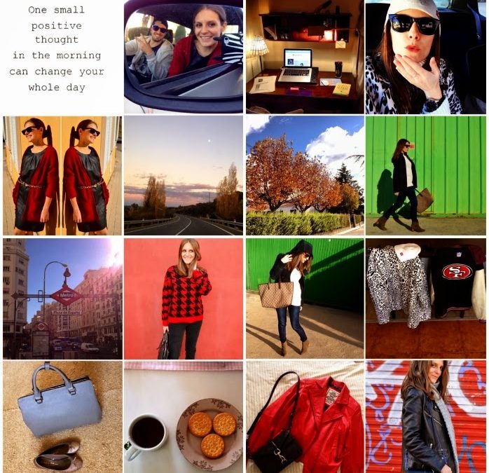 snapshots of the week 46