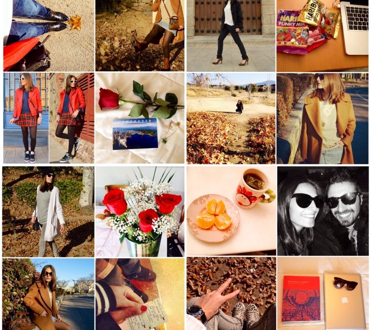 Snapshots of the week 50