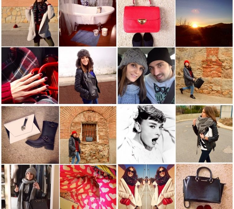 Snapshots of the week 51