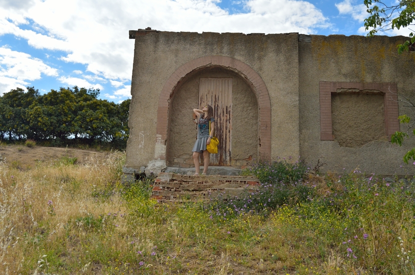 Yellow rays – countryside