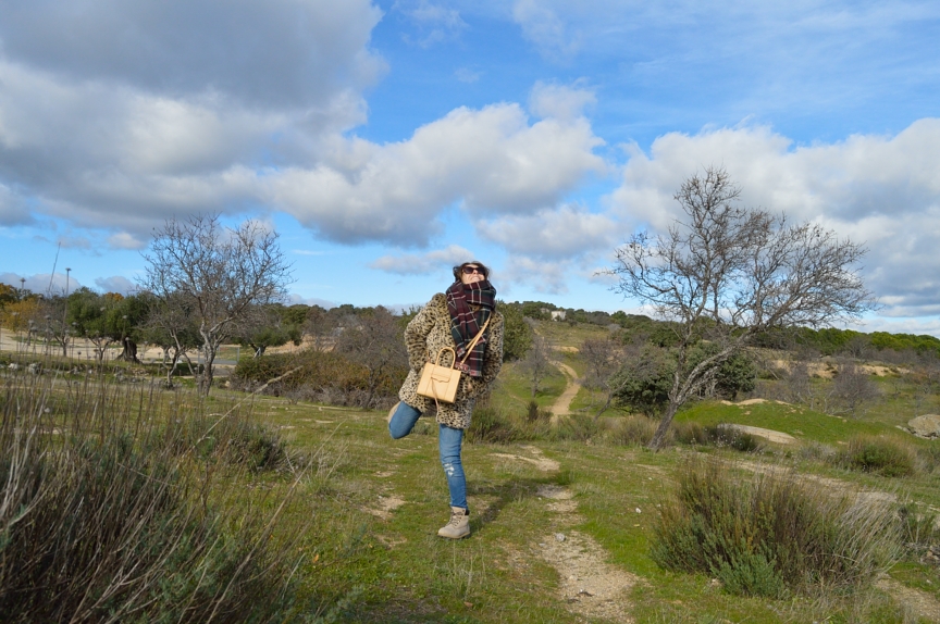 A walk through the nature (my town)