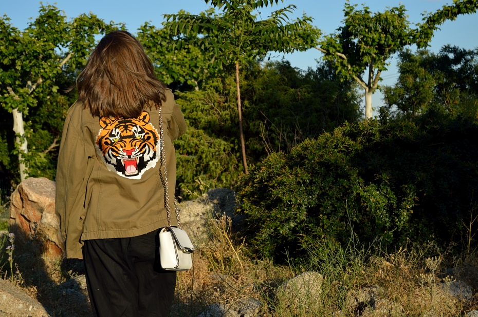 Spring Basics: B+W+G